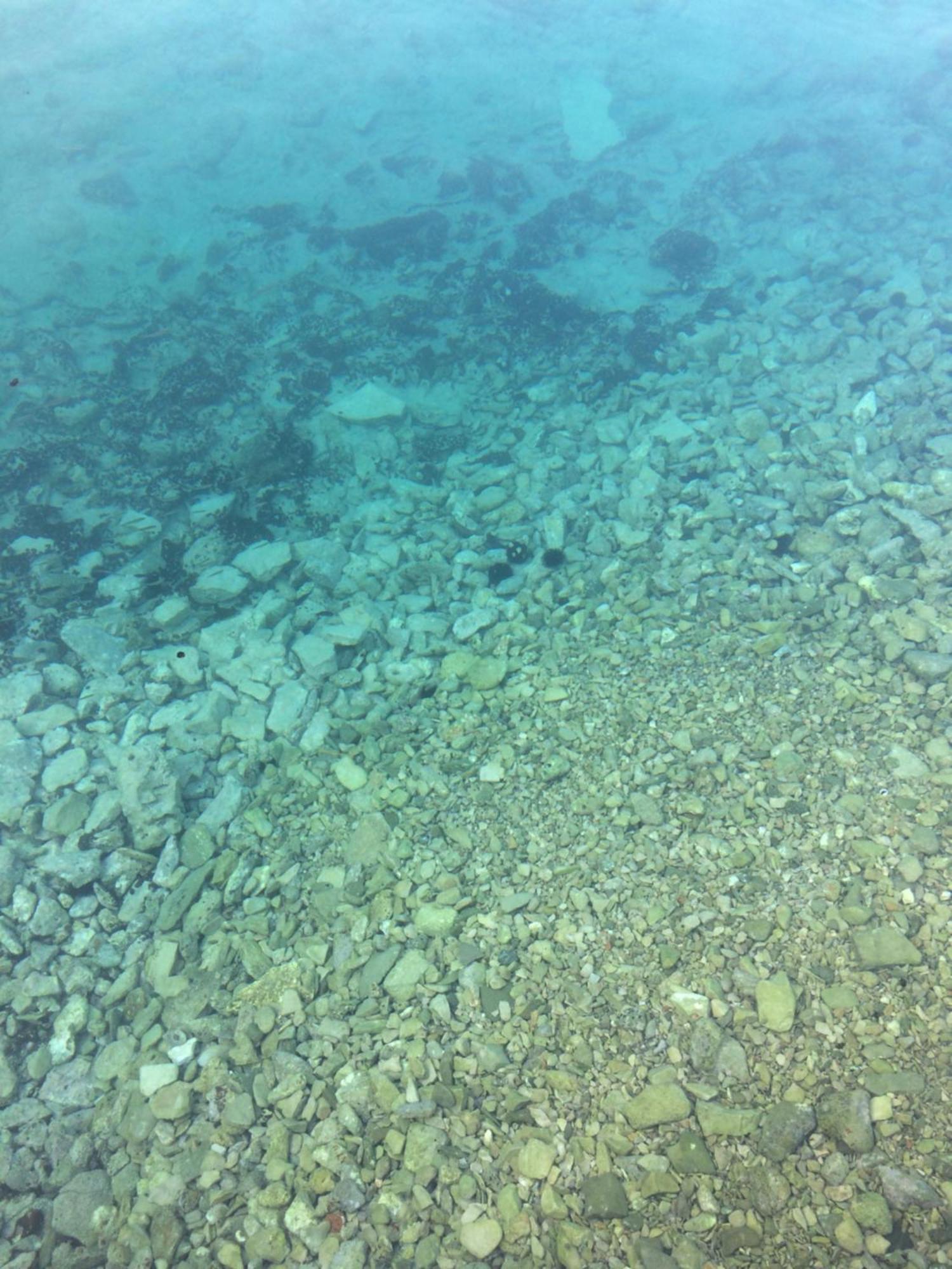 Apartmani Mima Nečujam Buitenkant foto